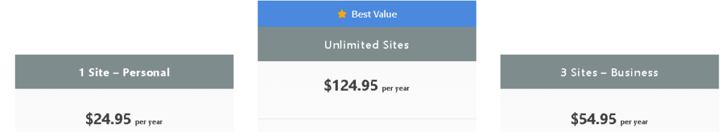 pricing table of  perfmatters 2025 