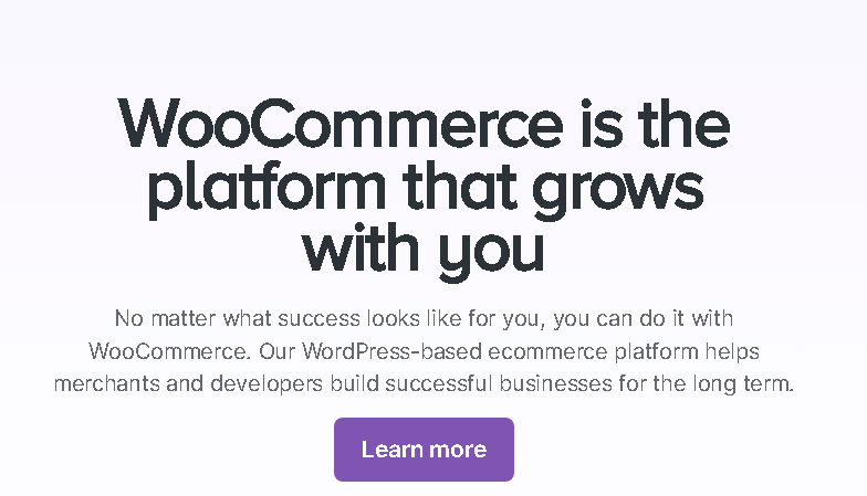 WooCommerce best plugin in 2025